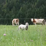 Hefenscherbauer Apartment Annaberg im Lammertal