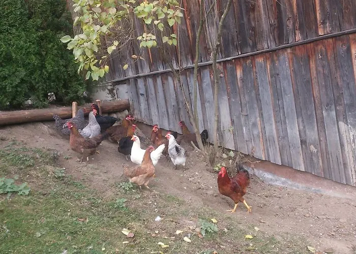 Hefenscherbauer * アンベルク・イム・ランマータール