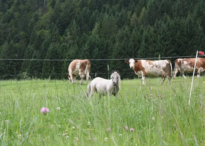 Hefenscherbauer Apartament Annaberg im Lammertal